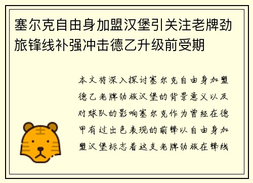 塞尔克自由身加盟汉堡引关注老牌劲旅锋线补强冲击德乙升级前受期 塞尔克自由身加盟汉堡引关注老牌劲旅锋线补强冲击德乙升级前受期